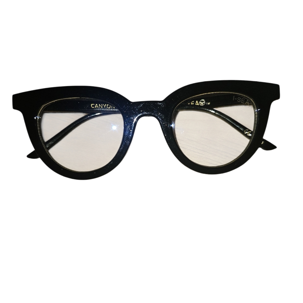 I-SEA Black Sunglasses